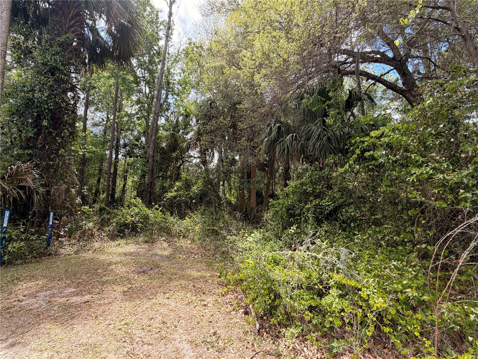County Road 445a Astor FL 32102 R4910920 image2