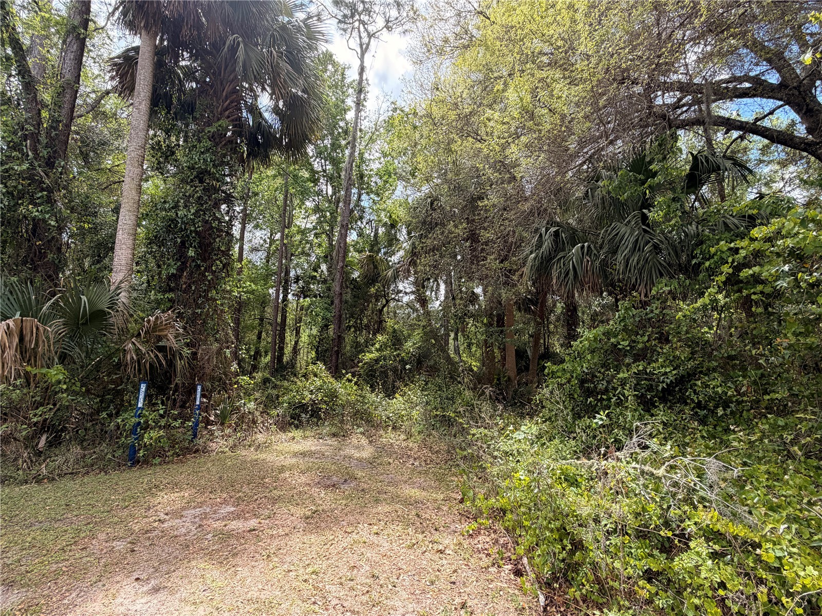 County Road 445a Astor FL 32102 R4910920 image3