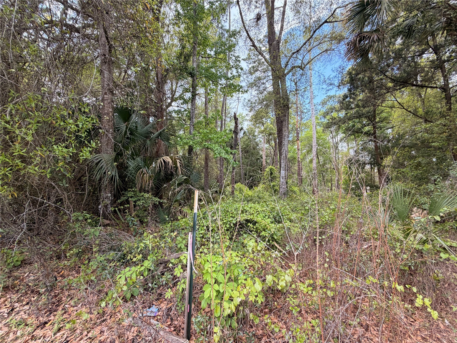 County Road 445a Astor FL 32102 R4910920 image8