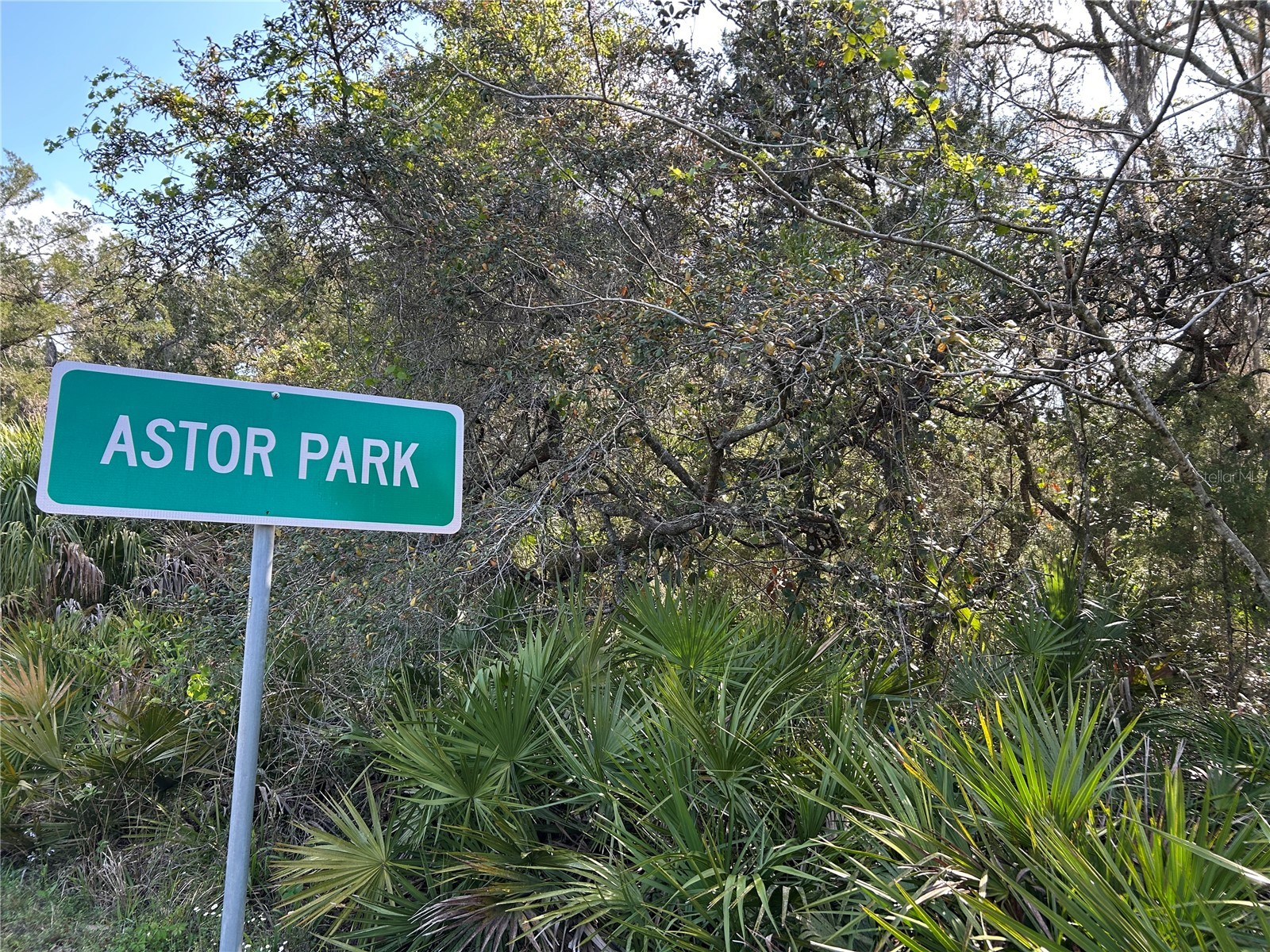 County Road 445a Astor FL 32102 R4910943 image1