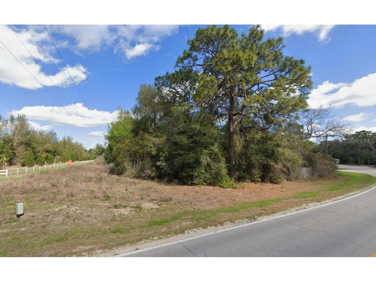 County Road 450 Umatilla FL 32784 J972452 image1