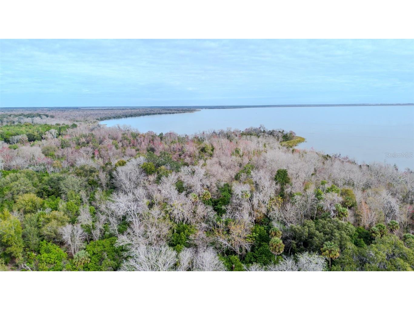 County Road 455 Clermont FL 34711 - LAKE APOPKA G5079311 image1