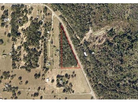 County Road 455 Clermont FL 34715 G5042647 image1