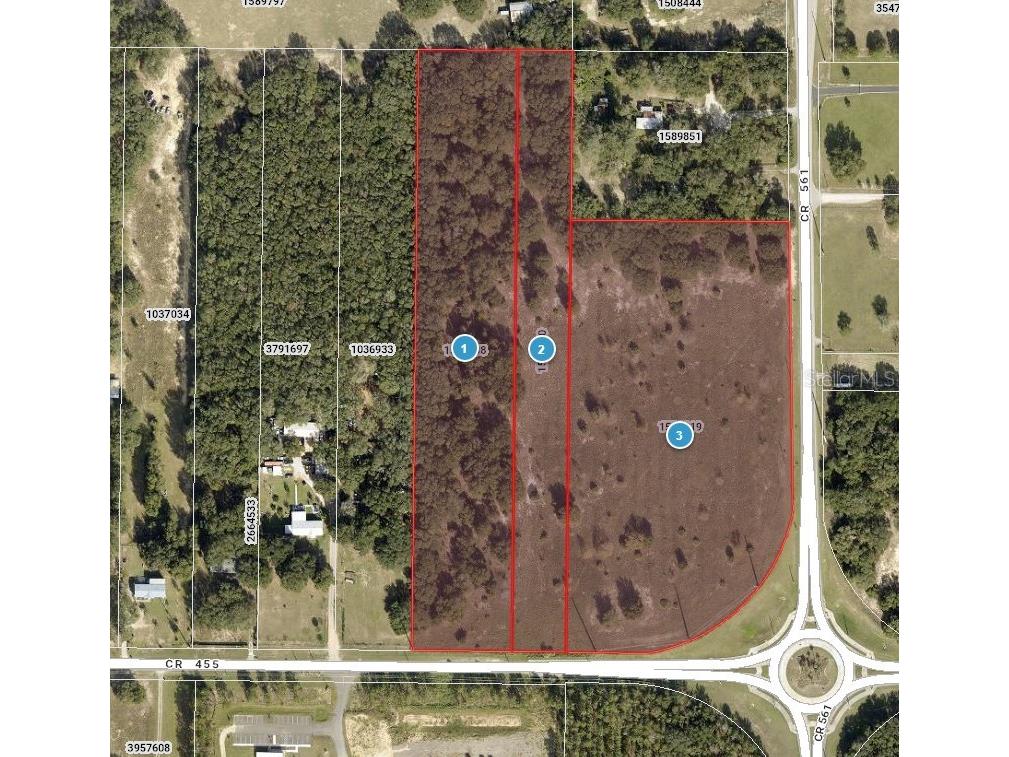 County Road 455 Clermont FL 34711 V4949148 image1