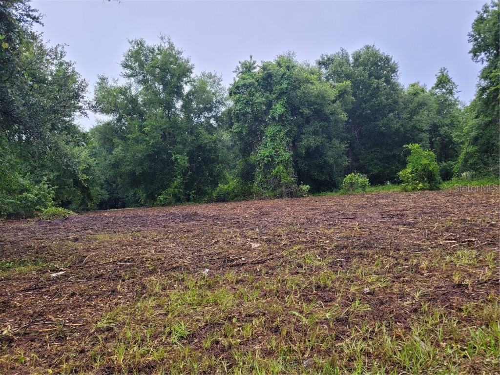 County Road 455 Howey In The Hills FL 34737 G5057536 image1