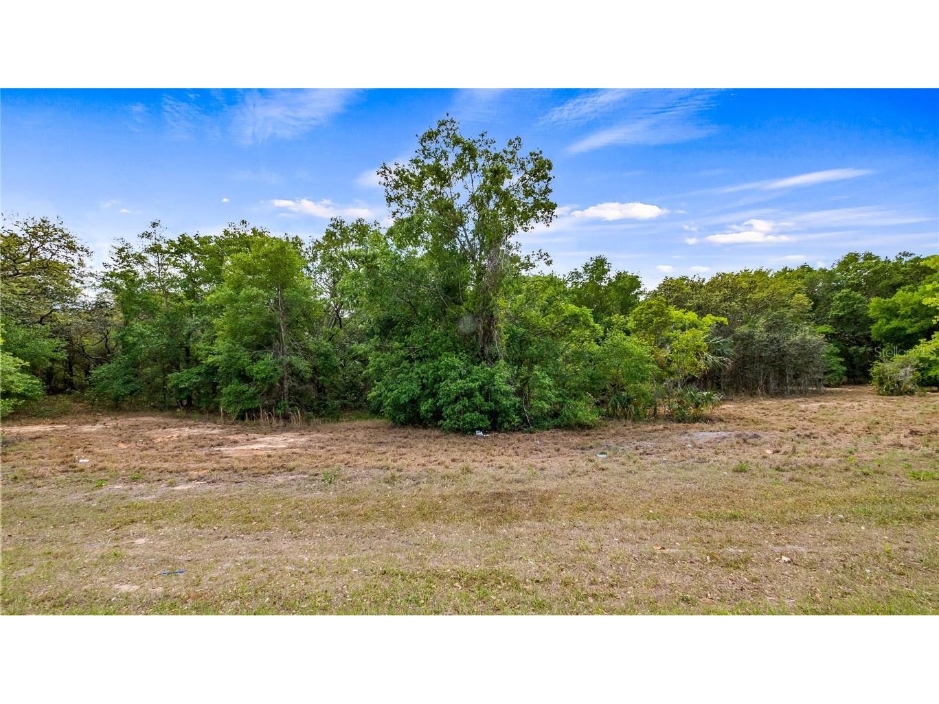 County Road 455 Montverde FL 34756 G5095633 image1