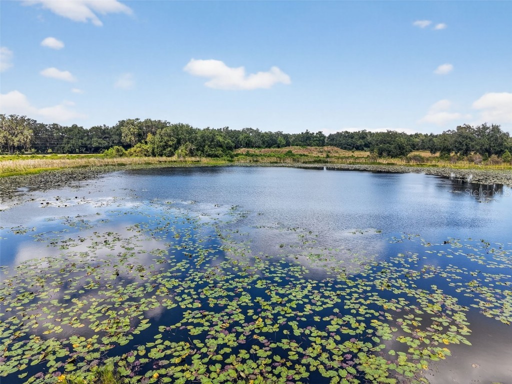 County Road 48 Groveland FL 34736 G5102812 image11