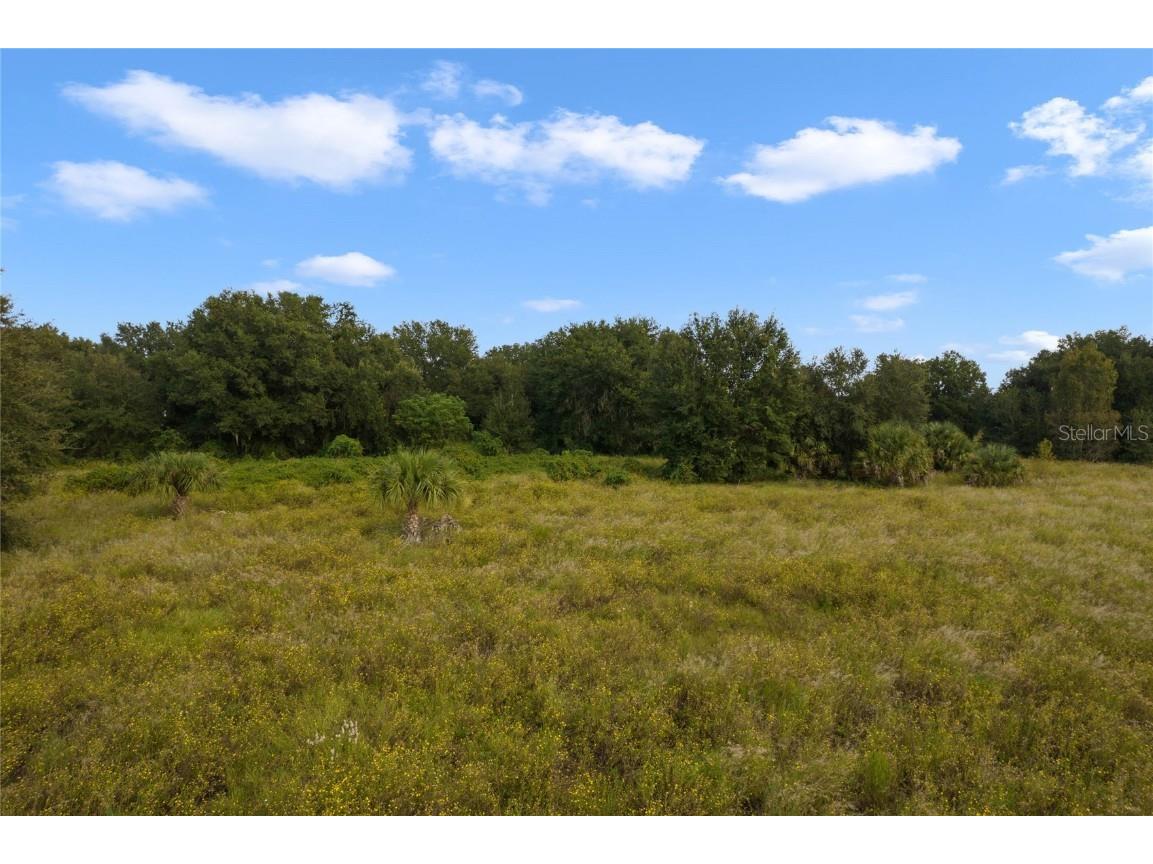 County Road 48 Yalaha FL 34797 - HARRIS CHAIN OF LAKE G5080228 image10