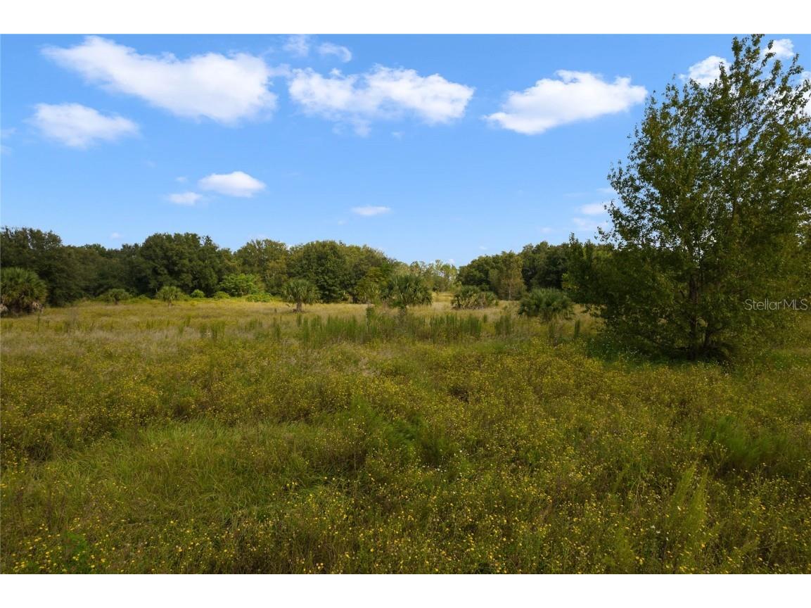 County Road 48 Yalaha FL 34797 - HARRIS CHAIN OF LAKE G5080228 image20