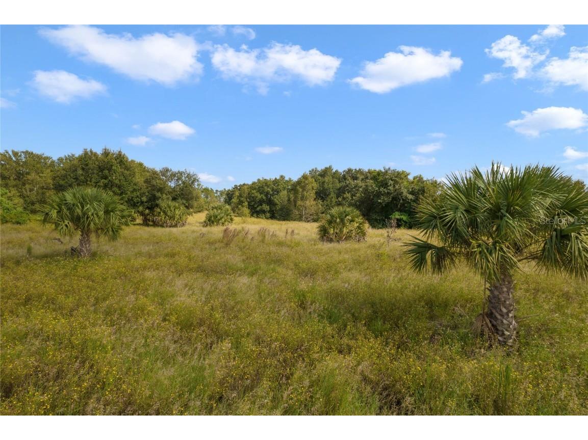 County Road 48 Yalaha FL 34797 - HARRIS CHAIN OF LAKE G5080228 image21