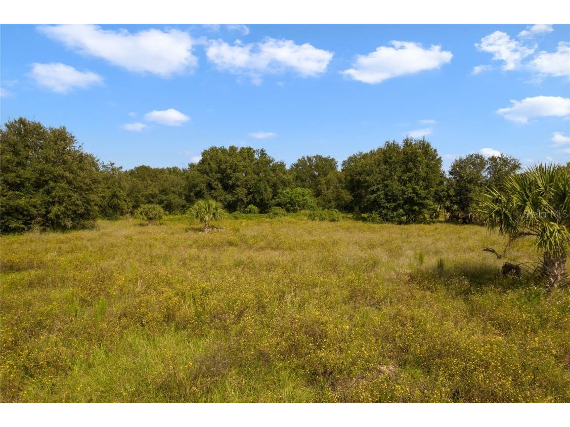 County Road 48 Yalaha FL 34797 - HARRIS CHAIN OF LAKE G5080228 image22