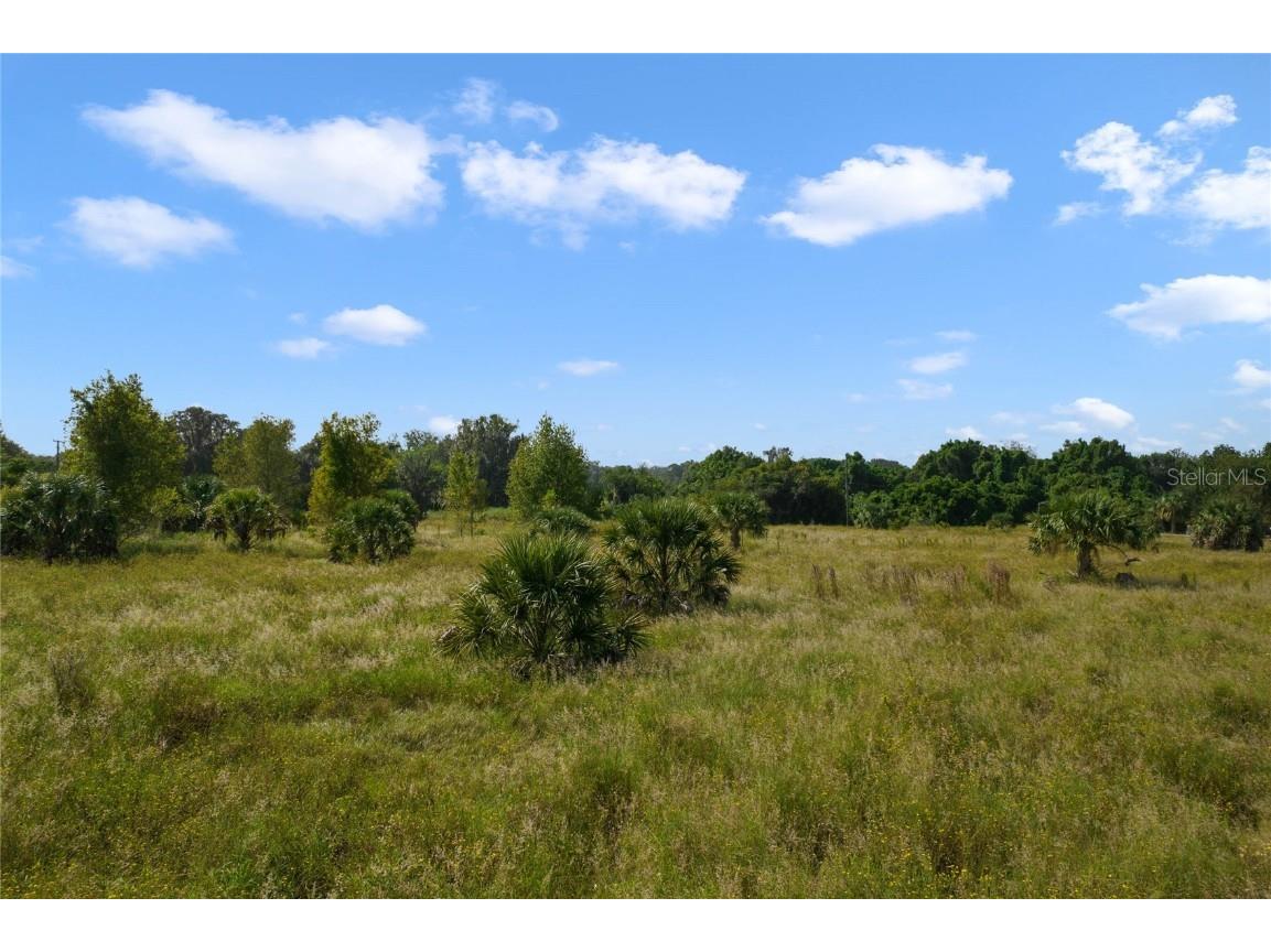 County Road 48 Yalaha FL 34797 - HARRIS CHAIN OF LAKE G5080228 image24