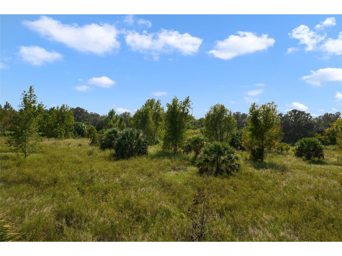 County Road 48 Yalaha FL 34797 - HARRIS CHAIN OF LAKE G5080228 image25