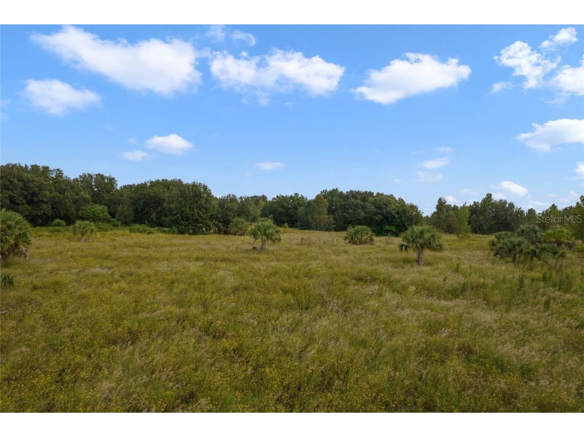 County Road 48 Yalaha FL 34797 - HARRIS CHAIN OF LAKE G5080228 image26