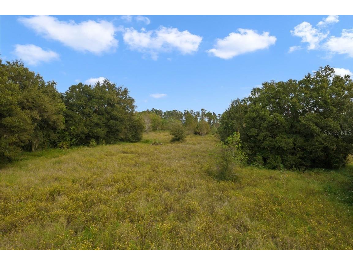 County Road 48 Yalaha FL 34797 - HARRIS CHAIN OF LAKE G5080228 image27