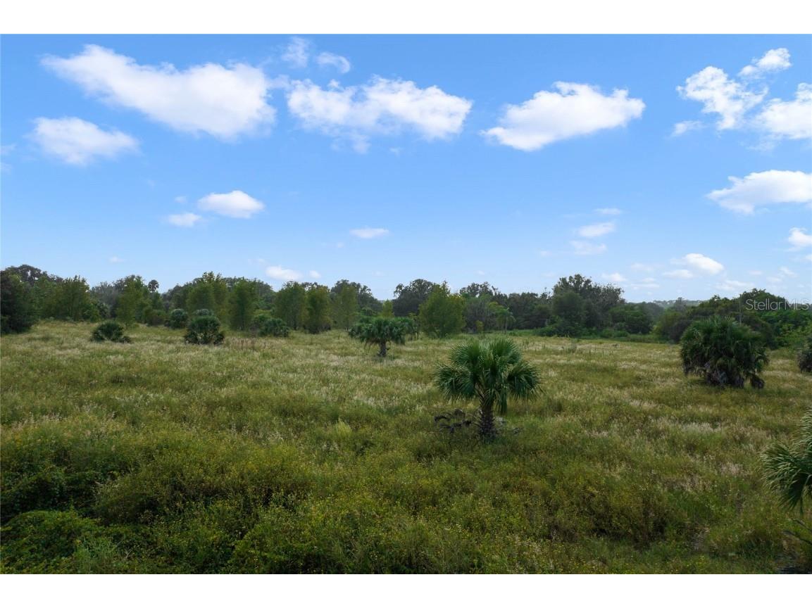 County Road 48 Yalaha FL 34797 - HARRIS CHAIN OF LAKE G5080228 image28