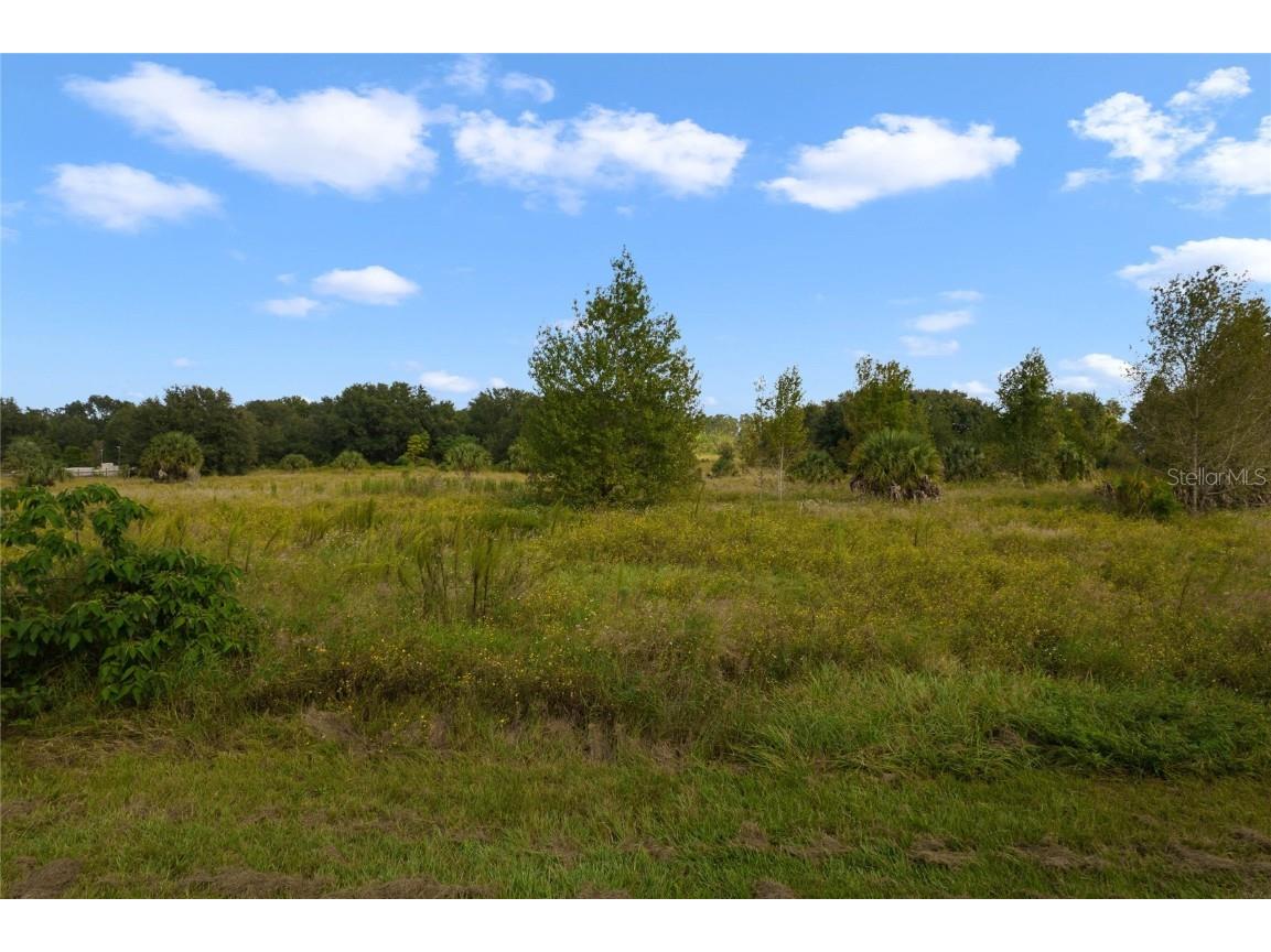 County Road 48 Yalaha FL 34797 - HARRIS CHAIN OF LAKE G5080228 image30