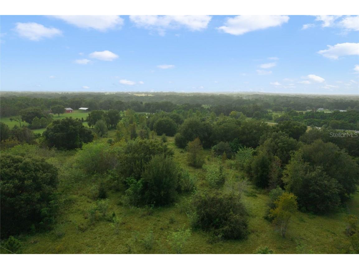 County Road 48 Yalaha FL 34797 - HARRIS CHAIN OF LAKE G5080228 image9