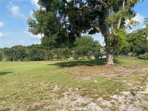 County Road 48 Yalaha FL 34797 - LAKE MARGARETTA G5102312 image3