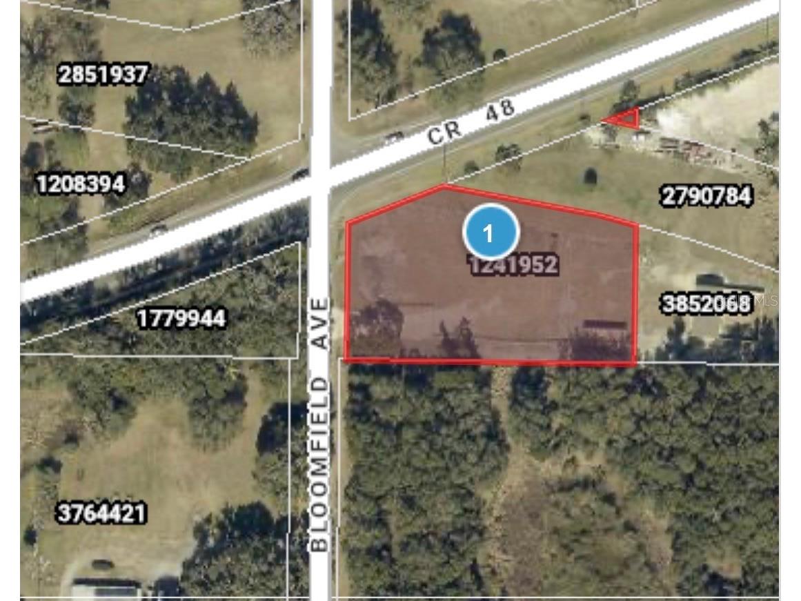 County Road 48 Yalaha FL 34797 G5110531 image1