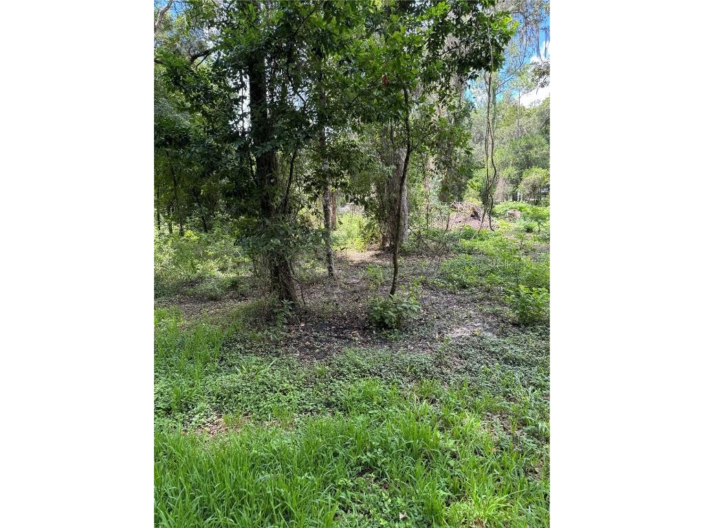 County Road 643 Bushnell FL 33513 T3537049 image1