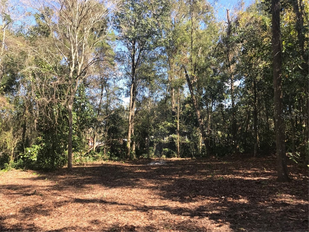 County Road 656 Webster FL 33597 TB8324796 image1
