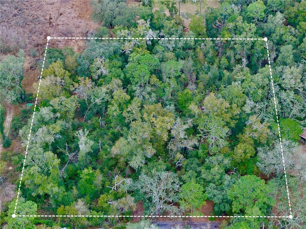 County Road 683d-1 Webster FL 33597 U8228309 image1