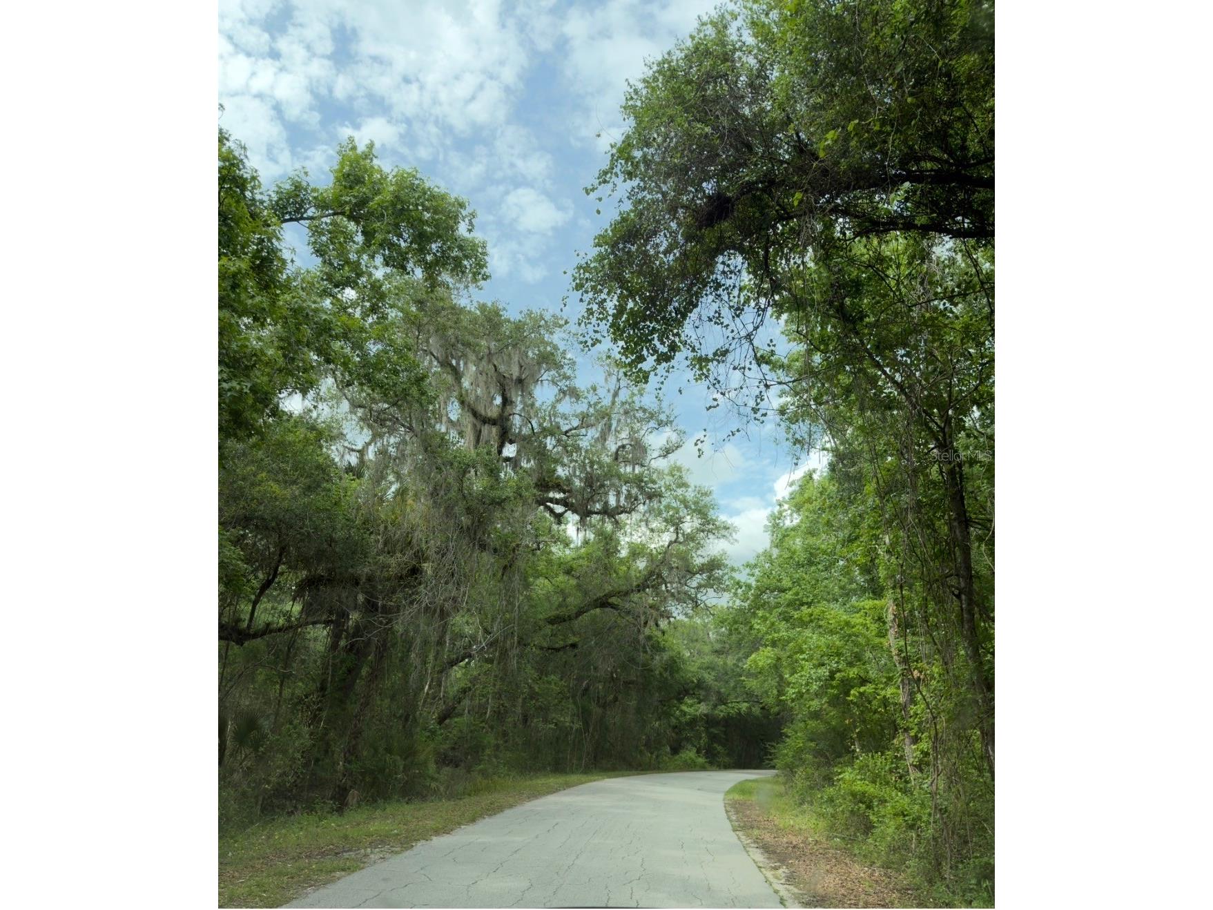 County Road 707 Webster FL 33597 G5112216 image1