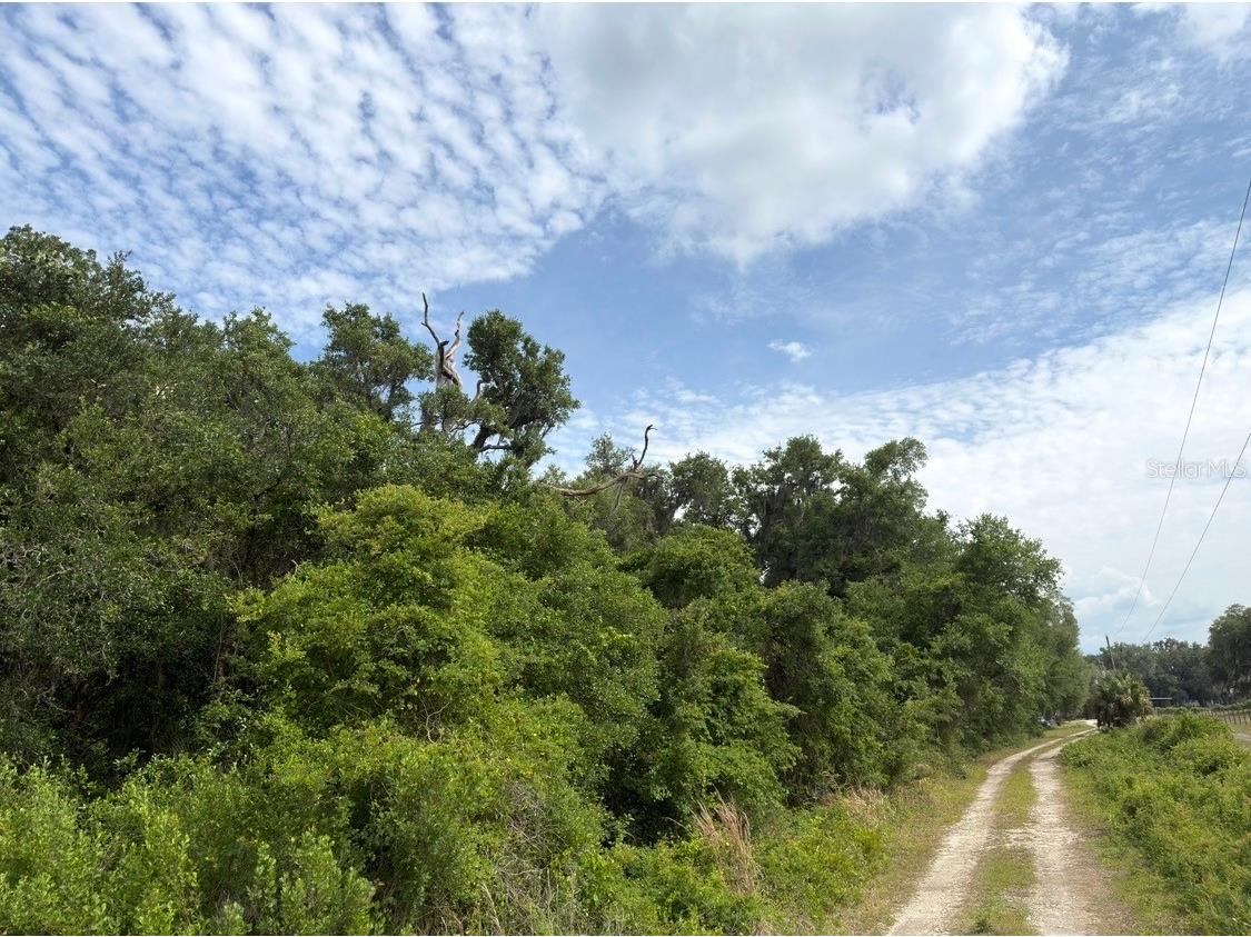County Road 707 Webster FL 33597 G5112216 image2