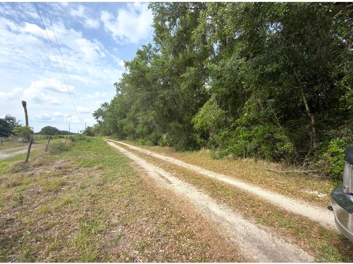 County Road 707 Webster FL 33597 G5112216 image7