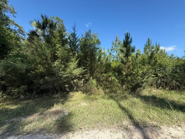 County Road 75 Bunnell FL 32110 FC318743 image1