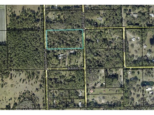 County Road 75 Bunnell FL 32110 FC318743 image10