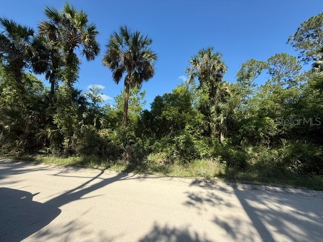 County Road 75 Bunnell FL 32110 FC318743 image2