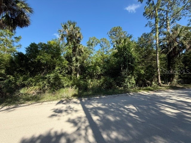 County Road 75 Bunnell FL 32110 FC318743 image3