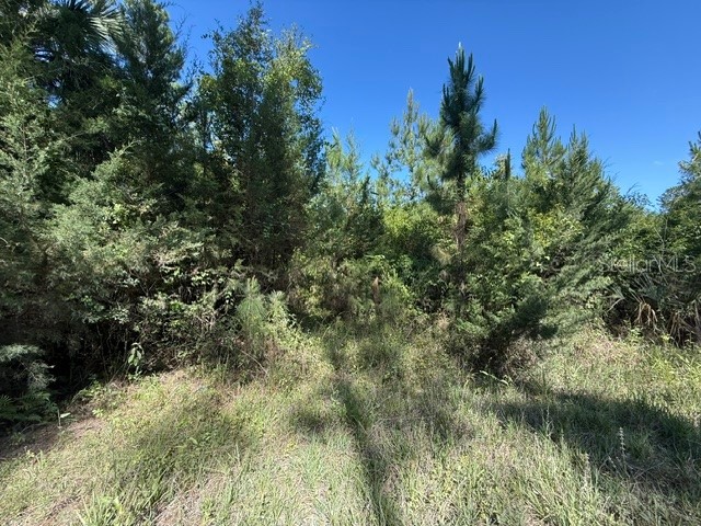 County Road 75 Bunnell FL 32110 FC318743 image4