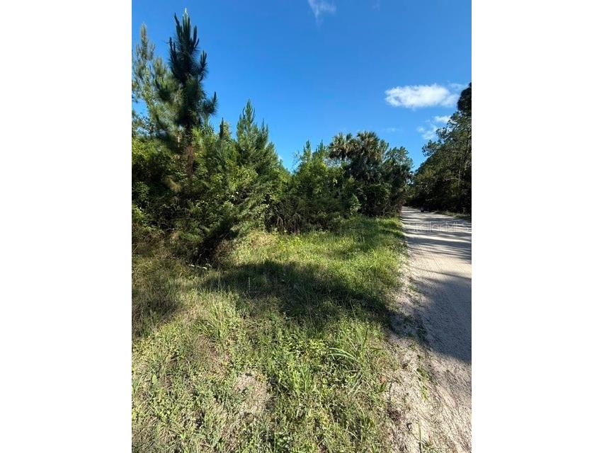County Road 75 Bunnell FL 32110 FC318743 image5
