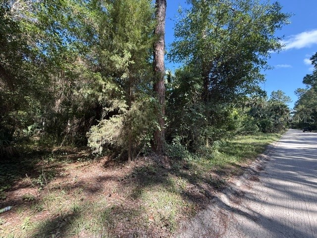 County Road 75 Bunnell FL 32110 FC318743 image6