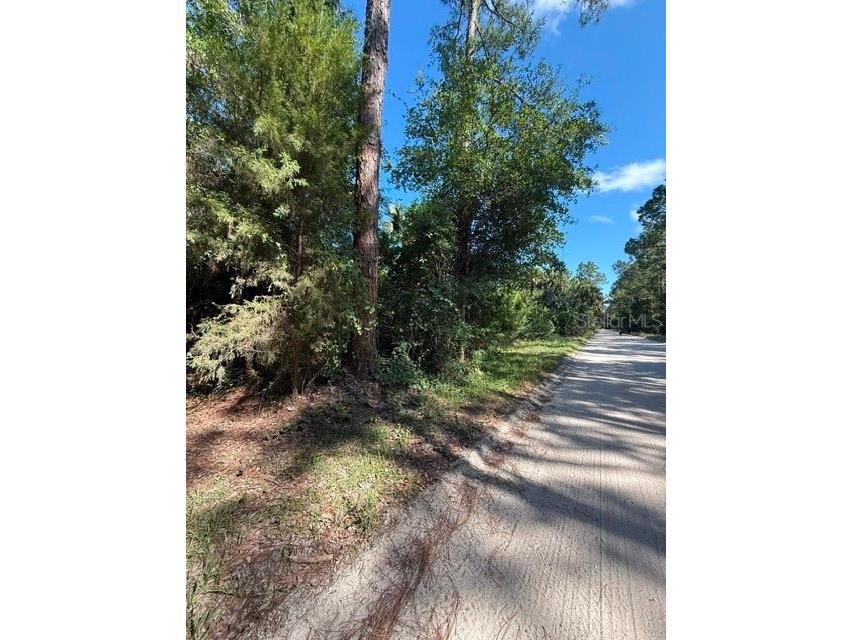 County Road 75 Bunnell FL 32110 FC318743 image7