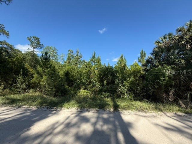 County Road 75 Bunnell FL 32110 FC318743 image8