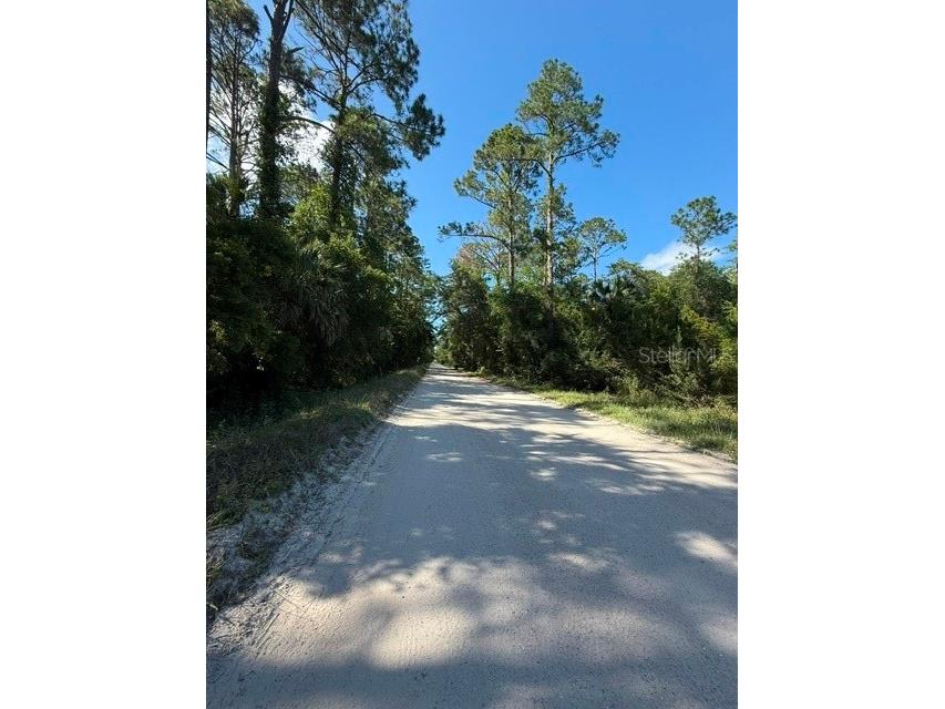 County Road 75 Bunnell FL 32110 FC318743 image9