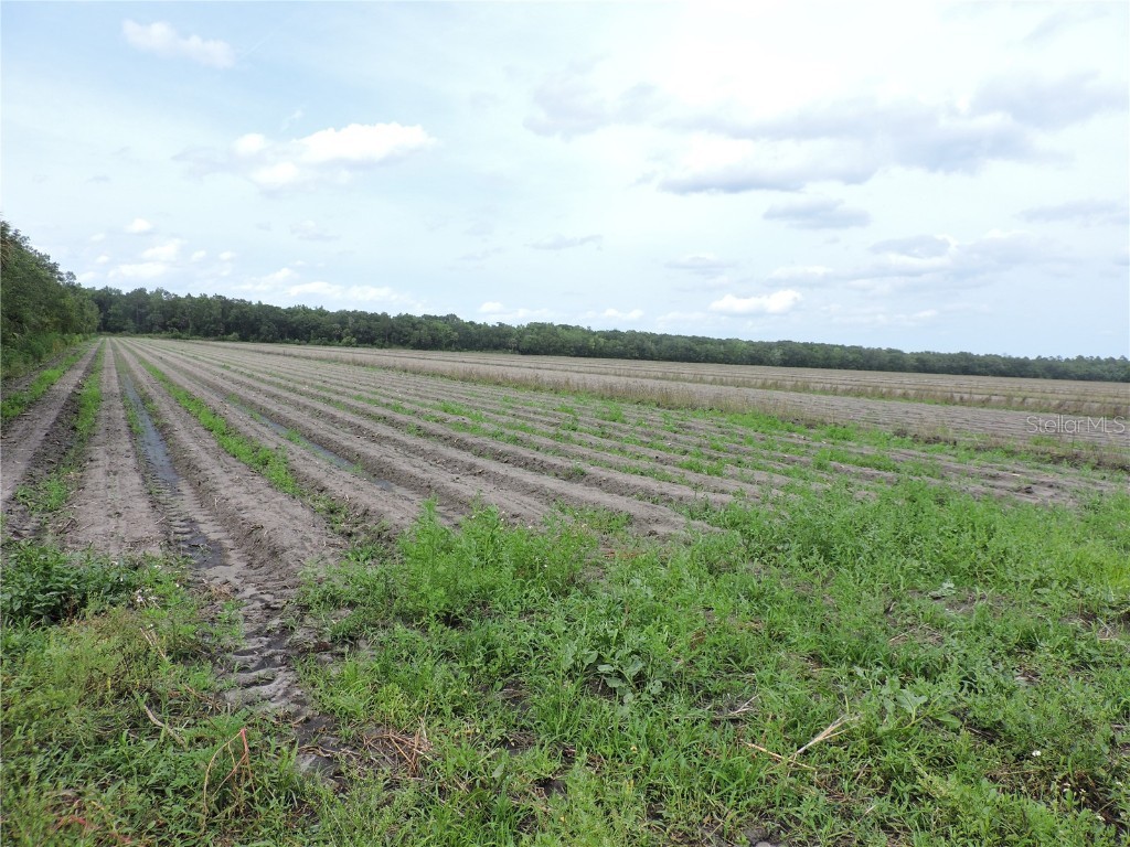 County Road 90 Road E Bunnell FL 32110 FC291075 image1