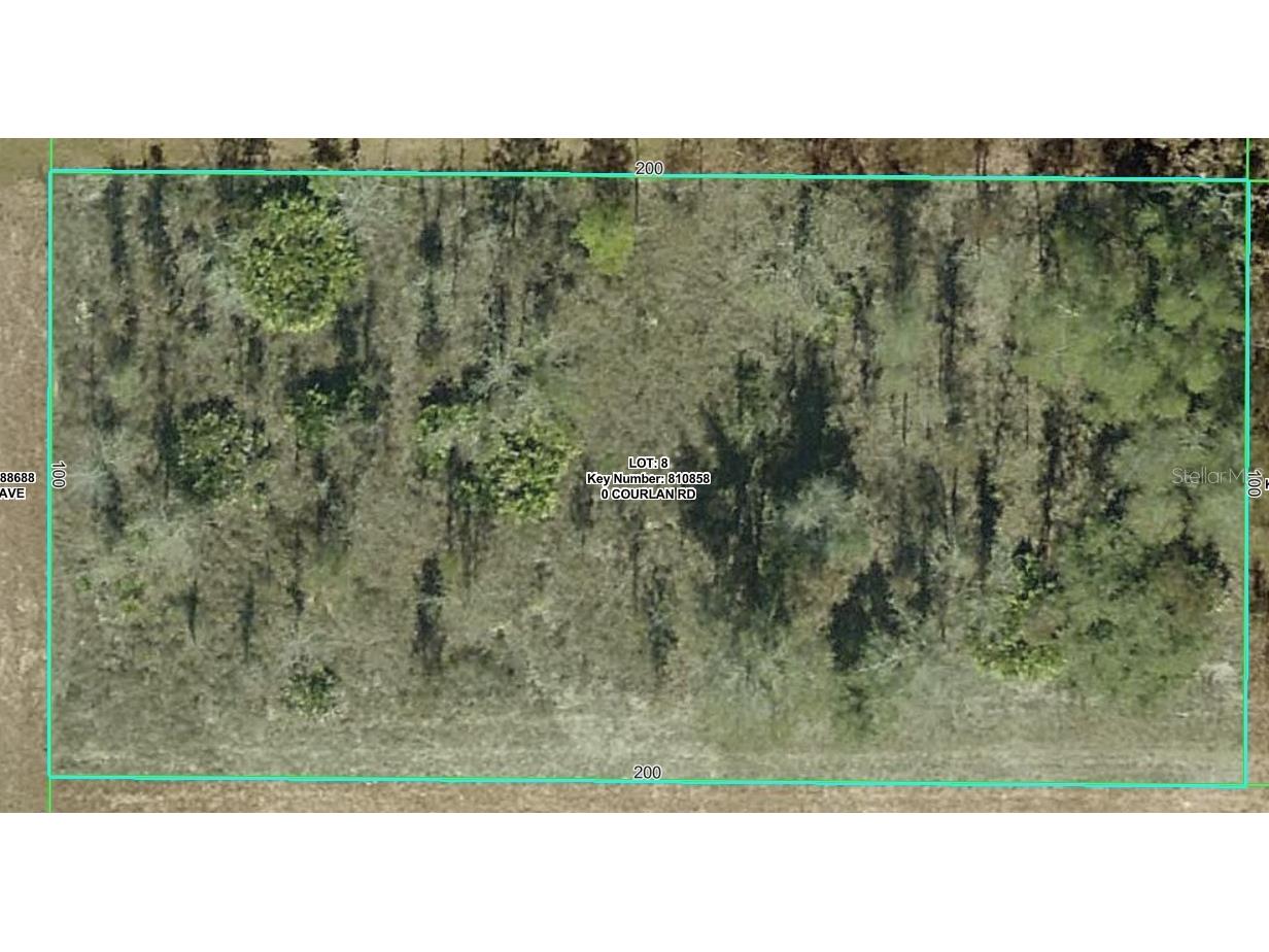 Courlan Road Weeki Wachee FL 34614 W7887247 image2