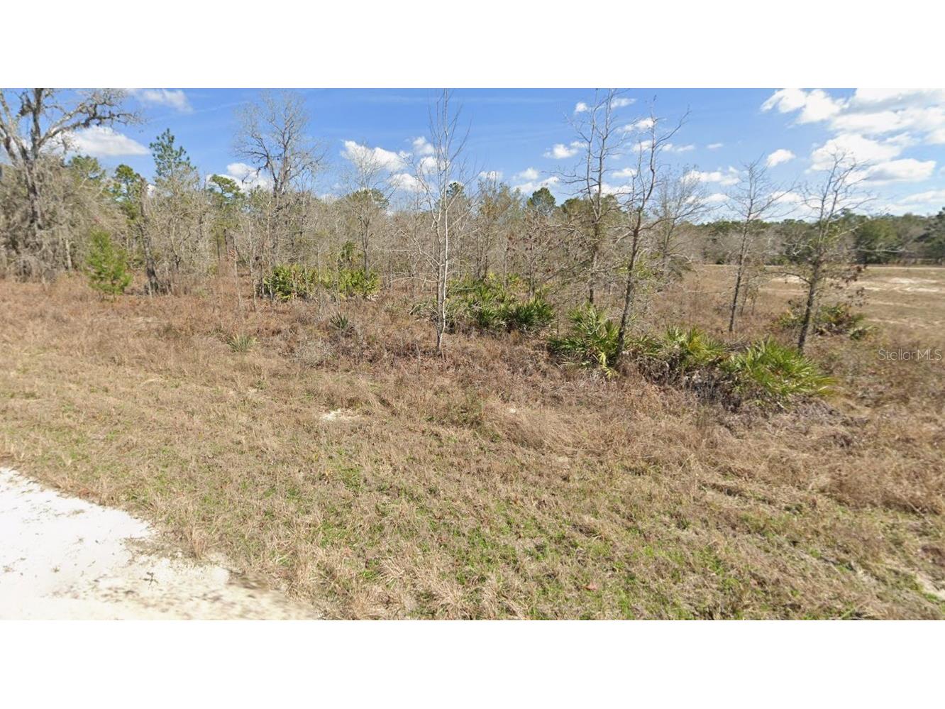 Courlan Road Weeki Wachee FL 34614 W7887247 image4