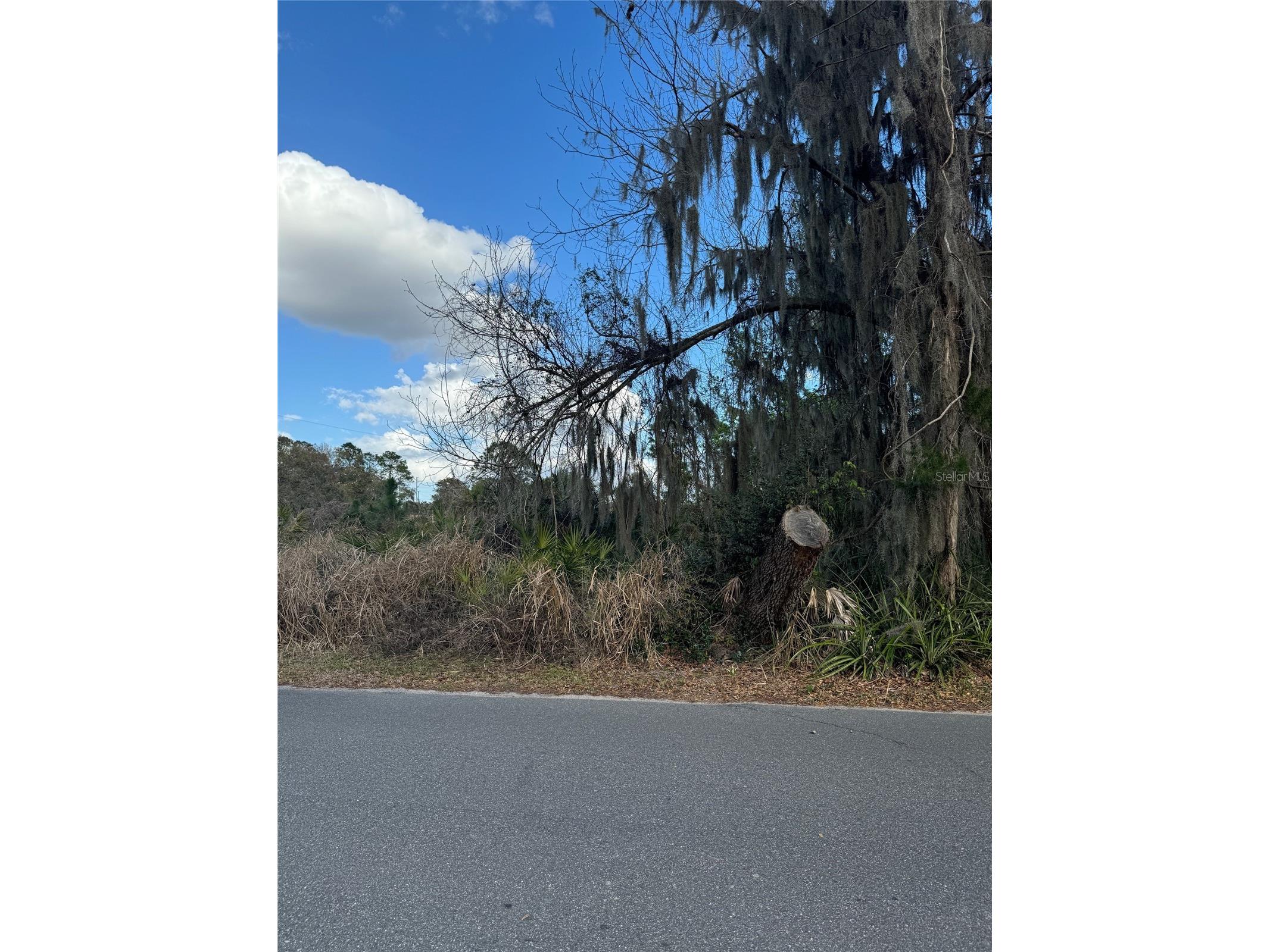 Cove Road Tavares FL 32778 G5109101 image10