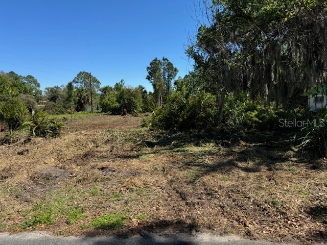Cove Road Tavares FL 32778 G5109101 image11