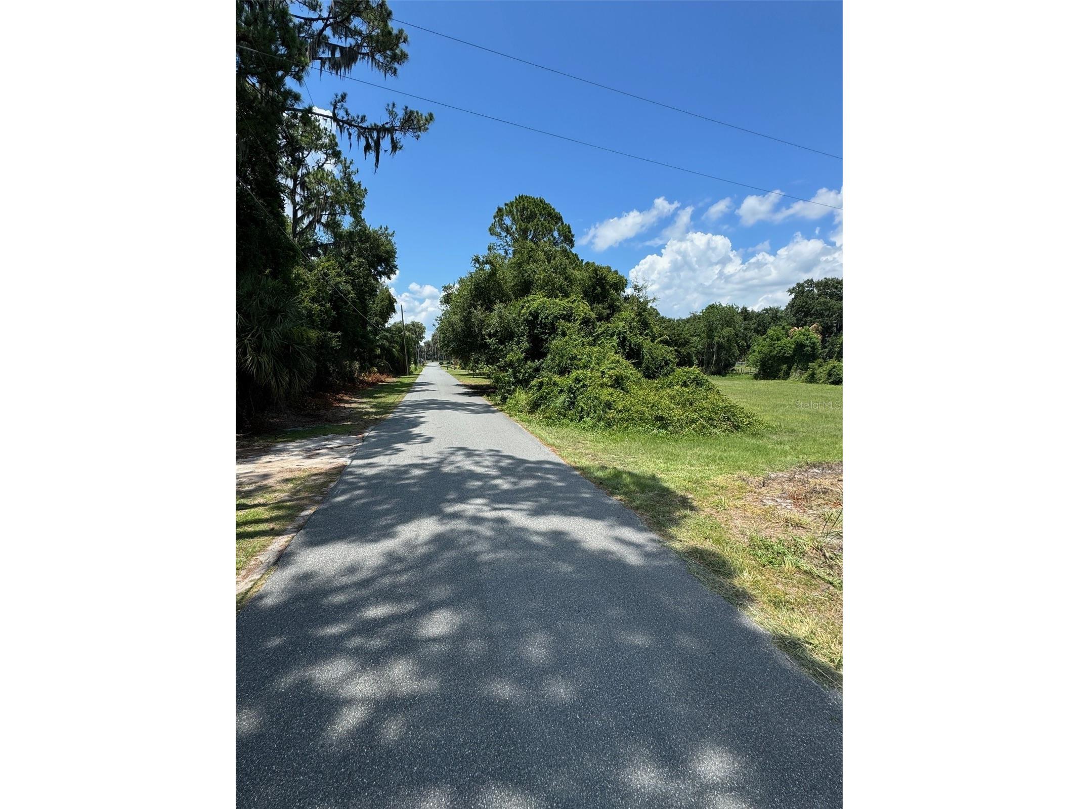Cove Road Tavares FL 32778 G5109101 image12