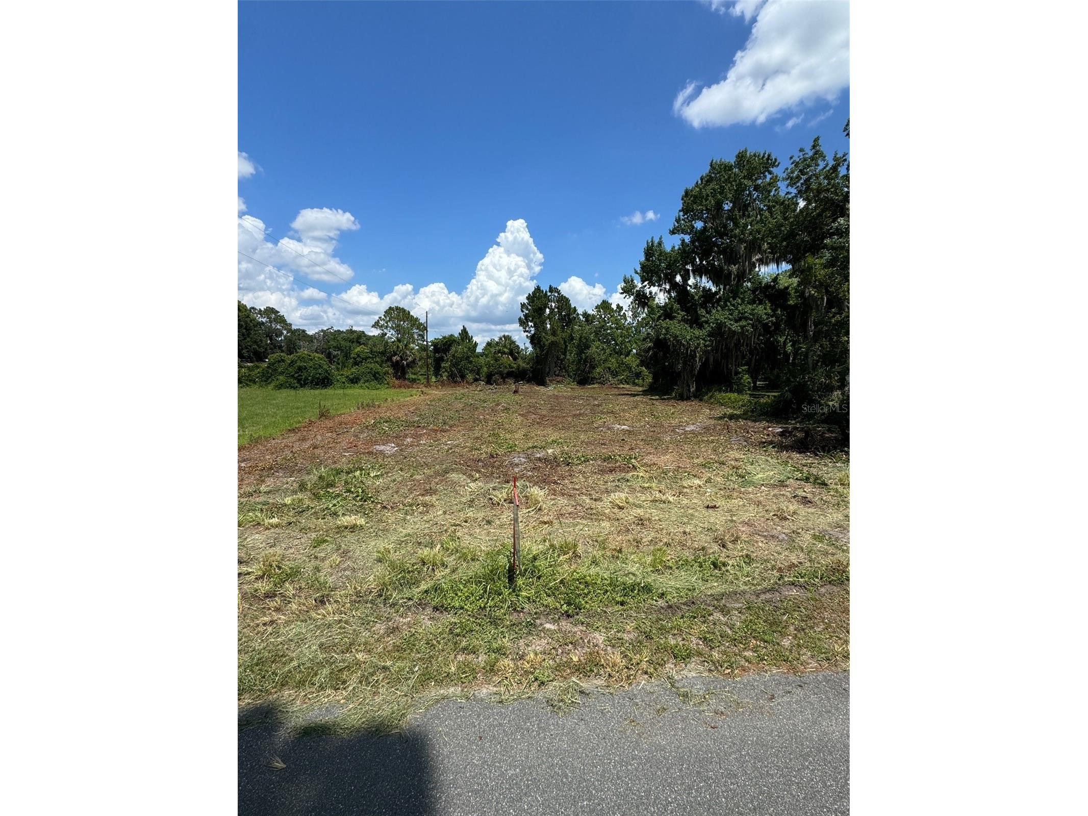 Cove Road Tavares FL 32778 G5109101 image14