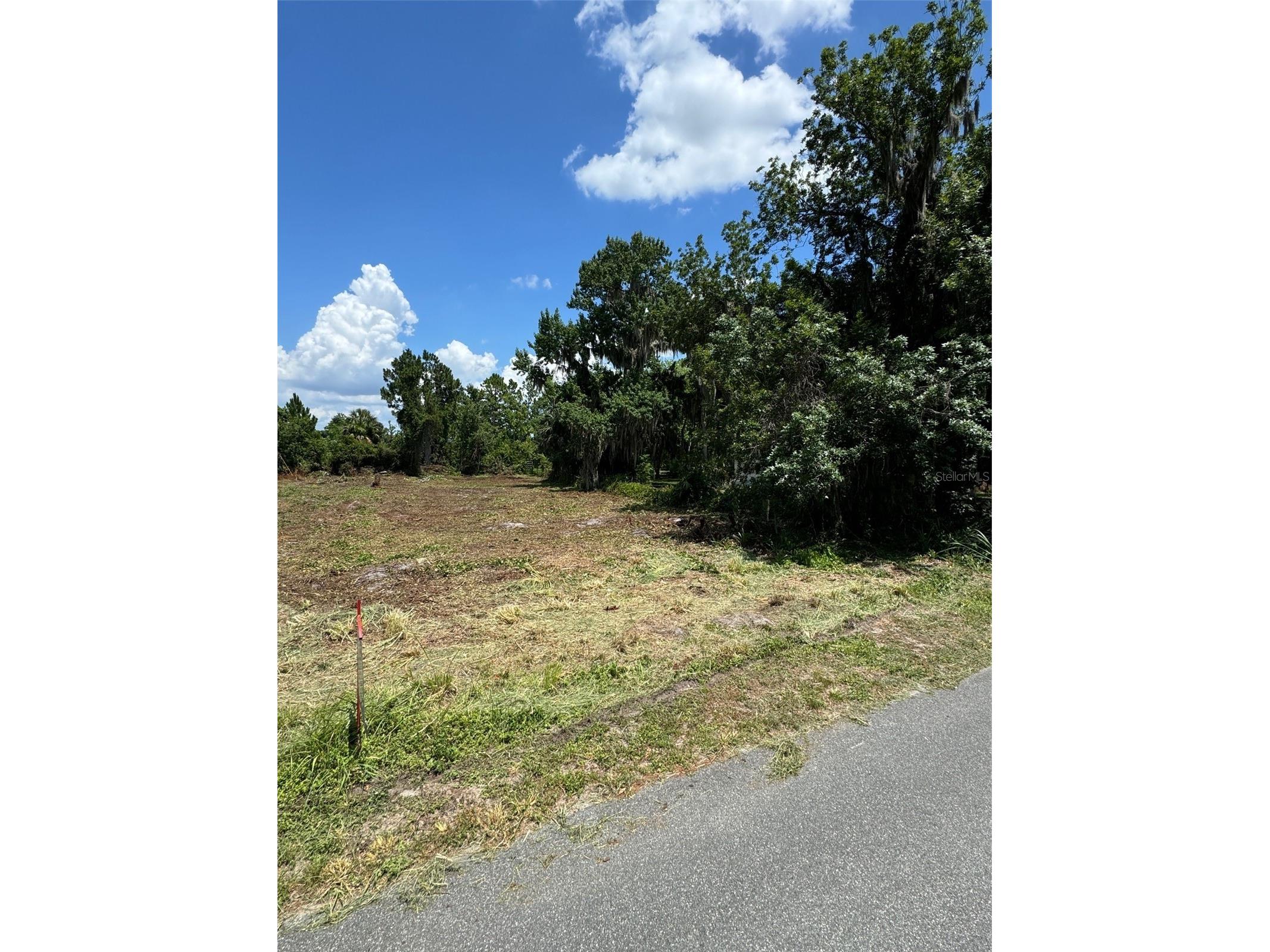 Cove Road Tavares FL 32778 G5109101 image15