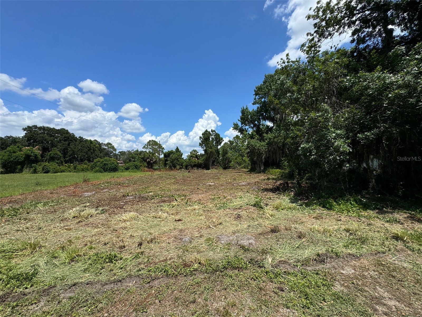 Cove Road Tavares FL 32778 G5109101 image16