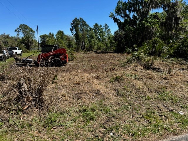 Cove Road Tavares FL 32778 G5109101 image4